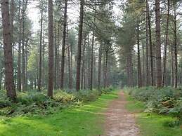 Comfortable Caravan in a Green Setting