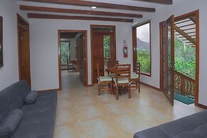 Mindo Magico