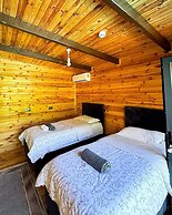 Vice Sapanca Bungalov