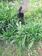 LES JARDINS DE TREBIGUETTE