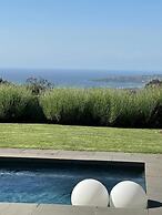 Room-frogs Pond Vineyards