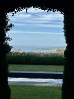 Room-frogs Pond Vineyards