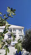Conti Houses