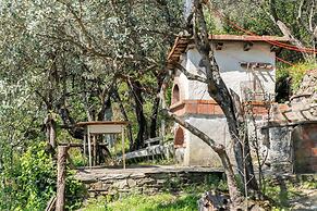 Room-a Yurt Among Olive Trees and the se