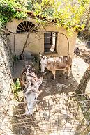 Room-a Yurt Among Olive Trees and the se