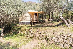 Room-a Yurt Among Olive Trees and the se