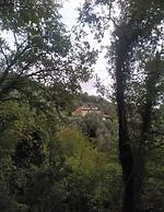 Room-a Yurt Among Olive Trees and the se