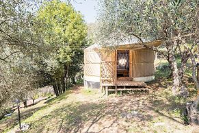 Room-a Yurt Among Olive Trees and the se
