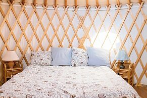 Room-a Yurt Among Olive Trees and the se