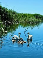 Danube Delta View