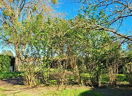 Parc - Camping de Coullons