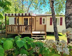 Parc - Camping de Coullons