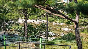 Gapyeong Valley Scoop Pension