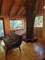 entre arrayanes lodge