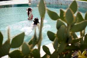 Echi di Puglia