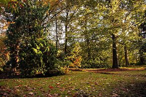 Castanea