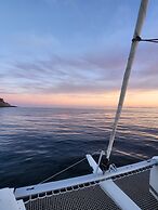 Catamaran EDEN