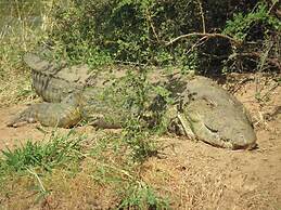 Limpopo River Lodge