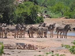Limpopo River Lodge