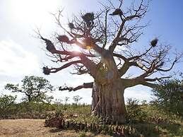 Limpopo River Lodge