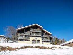 Large Alpine Family Stay in Doucy