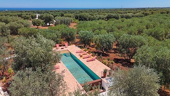 TD Lamia Porta Rossa, Countryside W/olive Trees