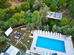 Alya Hill Bodrum
