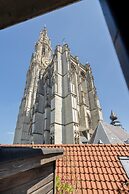 Spacious 11-person Stay in Antwerp