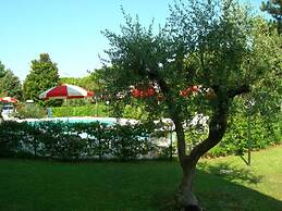 Shared Pool and Olive Orchard Garden Accommodation