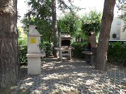 Shared Pool and Olive Orchard Garden Accommodation