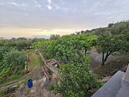 N haidea - AgriFarm e B&B
