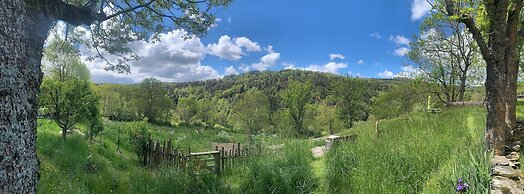The Village