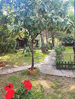 Agva Tartaruga Motel