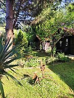 Agva Tartaruga Motel
