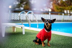Chuncheon Happysday Pet-friendly Pension