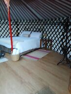 Chester Yurts Retreats