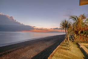 Salty Breeze Amed