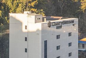 Hotel Cherry Blossom