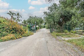 The Hidden Olive Gem by Wonderful Italy