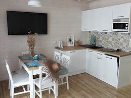 Comfortable Houses With Terraces