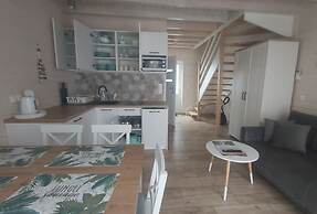 Comfortable Houses With Terraces