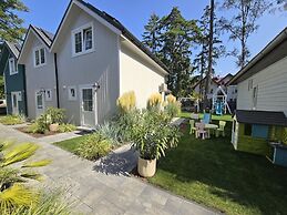 Comfortable Houses With Terraces