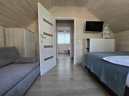 Comfortable Houses With Terraces