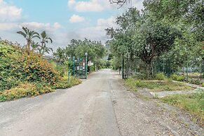 The Hidden Olive Gem by Wonderful Italy
