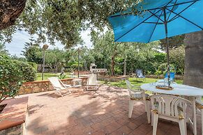 The Hidden Olive Gem by Wonderful Italy