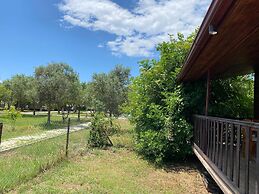 Magic camp&bungalov