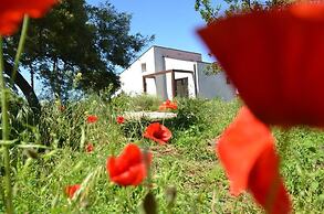 Studio apartments near Baratti Bay