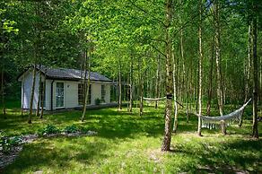 Comfortable Holiday Home no. 2B With a Fireplace