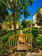 Wildline Gold Resort