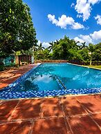 Wildline Gold Resort